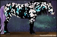 Horse Color:Watercolor White Spotted Bay Onyx Appaloosa 