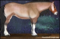 Horse Color:Bay Roan Onyx 