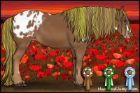 Horse Color:Painted Chestnut Appaloosa 