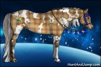 Horse Color:Plaid  White Spotted Buckskin 