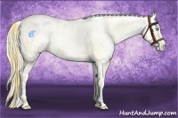 Horse Color:Buckskin Roan Pearl  and Amber Cream Champagne Roan Pearl 