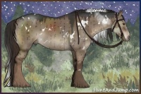 Horse Color:White Spotted Liver Red Dun 