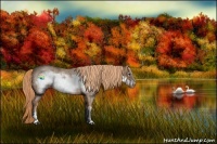 Horse Color:Red Roan Sabino Frame Rabicano