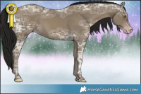 Horse Color:Gray Classic Cream Champagne Ice 