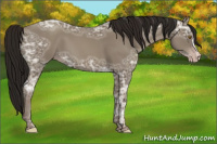 Horse Color:Gray Classic Cream Champagne Ice 