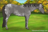 Horse Color:Smoky Black Ice 