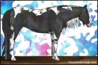 Horse Color:Midnight Classic Cream Champagne Chinchilla Ice Sabino Splash Tobiano 