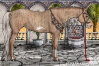 Horse Color:Classic Champagne Splash Frame  and Silver Classic Champagne Splash Frame 