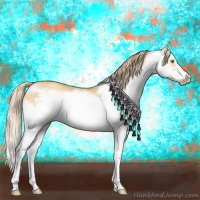 Horse Color:Gold Champagne Roan Dun Splash Frame Rabicano