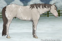 Horse Color:Classic Cream Champagne Ice 