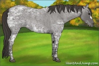 Horse Color:Smoky Blue Ice Roan