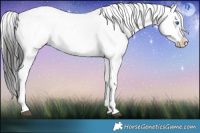 Horse Color:Platinum Brown Onyx Splash Appaloosa