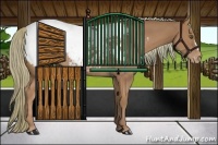 Horse Color:Chestnut Appaloosa Rabicano 