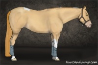 Horse Color:Gold Champagne Roan Tobiano 