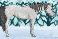 Horse Color:Classic Cream Champagne Ice 