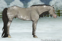 Horse Color:Gray Classic Cream Champagne Ice 