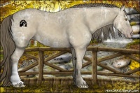 Horse Color:Classic Cream Champagne Ice 