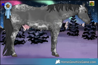 Horse Color:Black Ice Tobiano