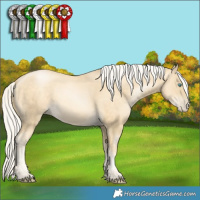 Horse Color:Silver Sable Cream Champagne Pearl Mushroom