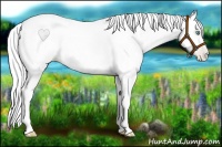 Horse Color:Silver Amber Cream Champagne Pearl 