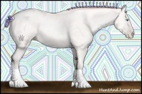 Horse Color:Silver Amber Cream Champagne Pearl 