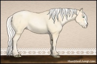 Horse Color:Silver Smoky Black Pearl 
