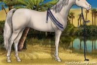 Horse Color:Palomino Pearl 