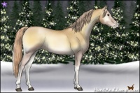 Horse Color:Red Onyx Pearl