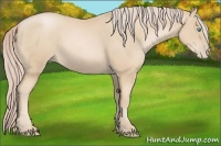 Horse Color:Palomino Pearl 