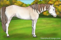 Horse Color:Bay Pearl Onyx Splash and Liver Red Dun Pearl Onyx Mushroom Splash Brindle
