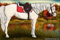 Horse Color:Palomino Pearl