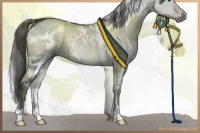 Horse Color:Platinum White Spotted Chocolate Palomino Dun 