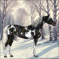 Horse Color:White Spotted Midnight Liver Chestnut Mushroom Rabicano 