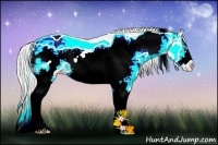 Horse Color:White Spotted Gold Cream Champagne Ice Roan Pearl Dun Splash Frame Varnish Rabicano 