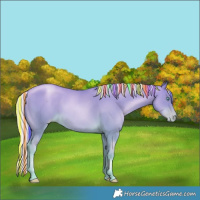 Horse Color:Painted Silver Buckskin Pearl 