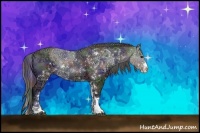 Horse Color:Nacre Black Ice Sabino Rabicano