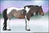 Horse Color:Brown Ice Tobiano Rabicano 