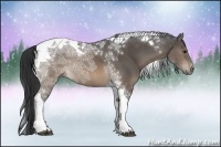 Horse Color:Brown Ice Tobiano Rabicano