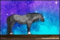 Horse Color:Black Sabino Rabicano 