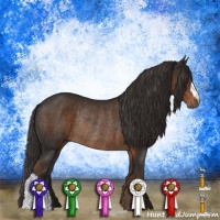 Horse Color:Liver Chestnut Rabicano 