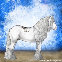 Horse Color:Liver Chestnut Mushroom Sabino Rabicano