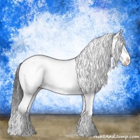 Horse Color:Brown Sabino