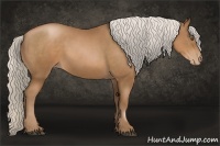 Horse Color:Silver Black Pearl Sabino Rabicano