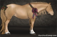 Horse Color:Liver Chestnut Pearl Sabino Rabicano 