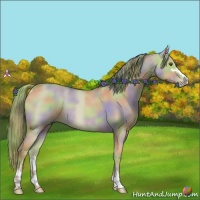 Horse Color:Nacre Watercolor Red Dun Sabino Rabicano 