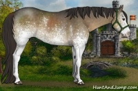 Horse Color:White Spotted Liver Red Dun