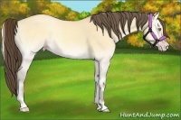 Horse Color:Amber Cream Champagne Roan Onyx 