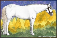 Horse Color:Chestnut Fewspot 
