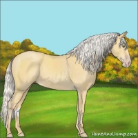 Horse Color:Silver Amber Cream Champagne 