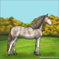 Horse Color:White Spotted Liver Red Dun
